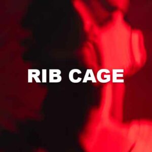 Rib Cage