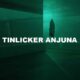 Tinlicker Anjuna