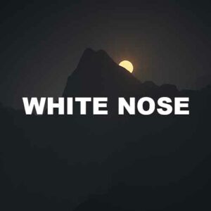 White Nose