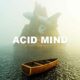 Acid Mind