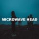Microwave Head