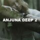 Anjuna Deep 2