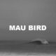 Mau Bird