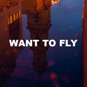 Want To Fly