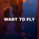 Want To Fly