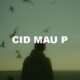 Cid Mau P