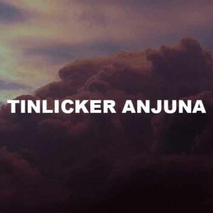 Tinlicker Anjuna