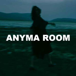 Anyma Room