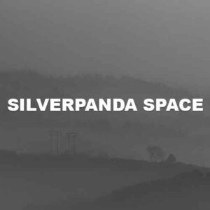 Silverpanda Space