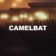 Camelbat