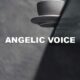 Angelic Voice