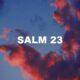 Salm 23