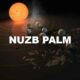 Nuzb Palm