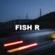 Fish R